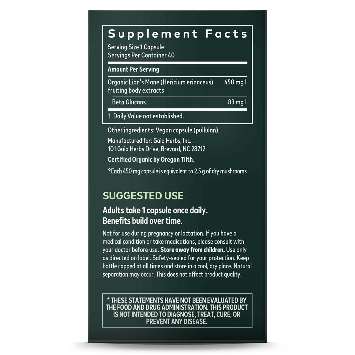 Lion's Mane Mushroom