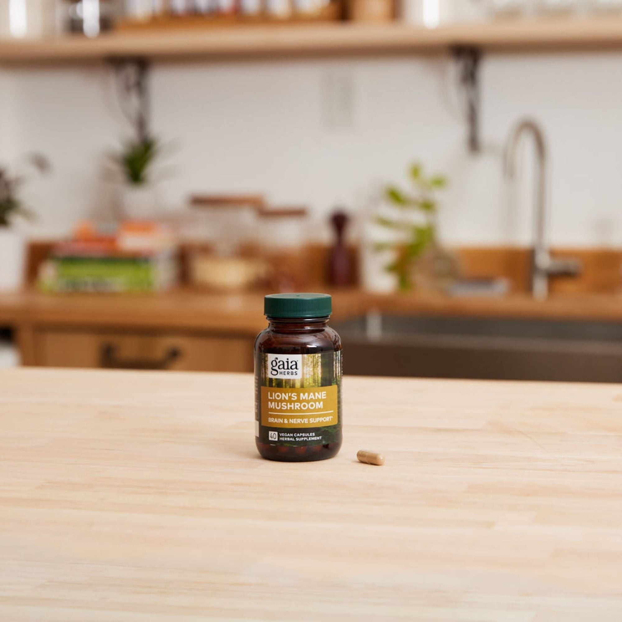 Lion's Mane Mushroom