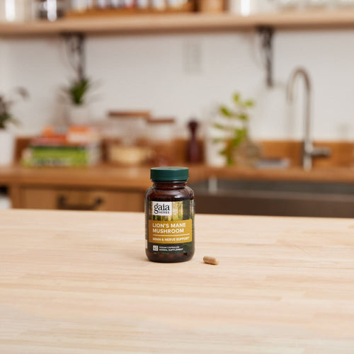 Lion's Mane Mushroom